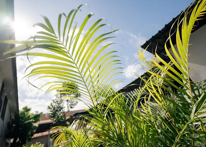 Kuta Sekeca Coworking Close To Kuta アパート ジンバラン